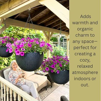 LaLaGreen Indoor Hanging Planters (11in, 3 Pack) Self-Watering Flower Pots - color: Black X 3