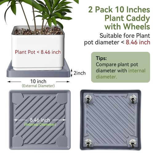 10" SquarePlant Caddy Beige with Hidden Wheels & Garden Tools Set - size: 10 Inches - Grey (2 Pcs)