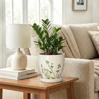 MPotTo 6 Inch Plant Pot, Ceramic Pots for Plants, Grasses White - color: Grasses White, size: 6 Inch