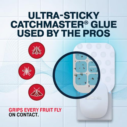 Catchmaster Fruit Fly Trap Plug in, Indoor Flying Insect & Gnat UV Light