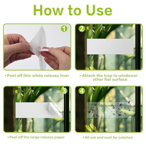 Landisun Fly Trap Indoor Fruit Fly Traps Mosquitos Gnat Windows Bug Sticky Glue Traps 30 Pack