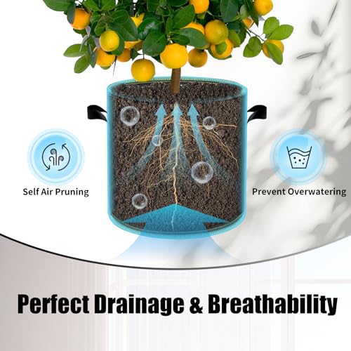 Grow Bags 2 Pack 5 Gallon Plant Pots 300G Nonwoven Fabric Garden Nursery Pots with Handles for Plants Potato Tomato Vegetables Flowers Grow Bags - size: 5 Gallon
