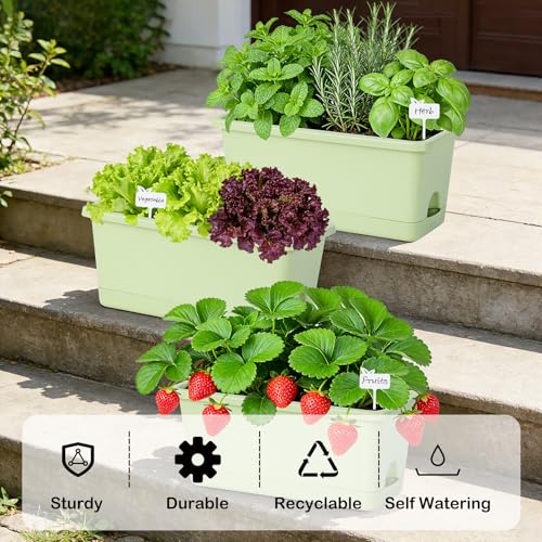 Oliz Window Box Planter 6 Packs, 13.8 Inches Rectangle Flower Pots with Drainage Holes & Trays, Pots for Vegetables, Herbs, Flowers, Garden Windowsill Balcony (Green) - color: Green