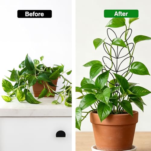 2 Pack Small Plant Trellis for Pots Indoor