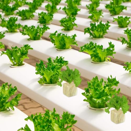 Halatool 1 Inch Rockwool Cubes for Hydroponics, 200 Plugs Seed Starter Cube - color: 4 Sheets, size: 1" Cubes