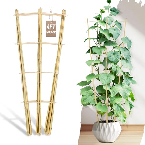 Avalution 10 Pack Bamboo Trellis for Climbing Plants, 4 FT Garden Ladder Trellis for Potted Plants Indoor, Fan-Shaped Small Plant Support Trellis for Houseplants Ivy Hoya Vine Monstera - color: Fan-Shaped, size: 10 PACK-48 inches