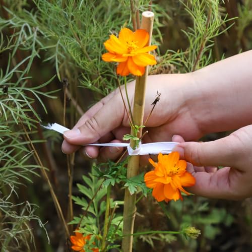 Natural Bamboo Plant Stake, （4FT 30Pcs） Sturdy Bamboo Poles, Durable Plant Bamboo Stake, Garden Climbing Plant Bracket. - size: 4ft-30PCS