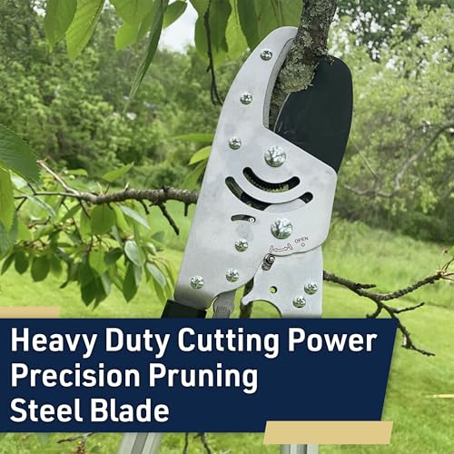 Kings County Tools Tree Trimmer Loppers with Extendable 26" - 40" Handles - style: 40" Extendable Anvil Lopper