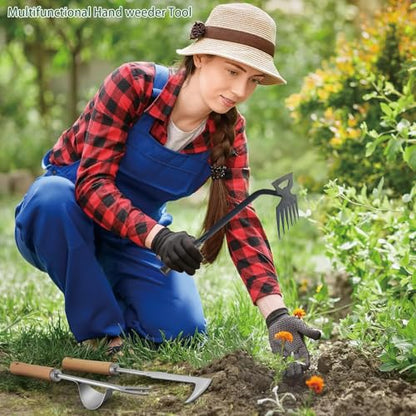 Weed Puller Tool,Crack Weeder Tool, Stainless Steel Crevice Weeding Digger Tool, Paving Brick Moss Removal,6 Teethes Dual Purpose Hand Weeder Tool for Yard Garden, Lawn Edger and Driveway(3 Pcs)