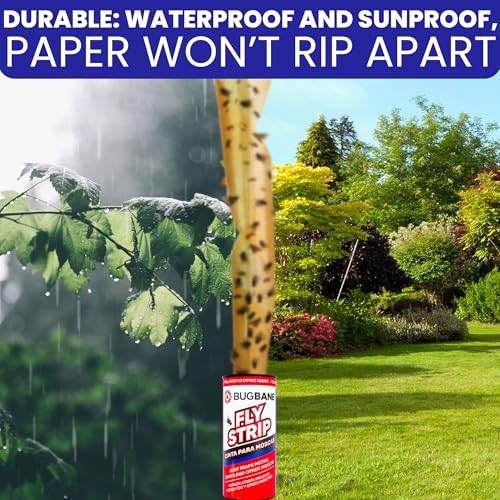 Fly Strips Indoor Sticky Hanging 10pk with Pins. Non Toxic Outdoor Fly Trap Indoor for Home. Flies Tape Paper Trap Ribbon Roll for House Gnat Fruit and Housefly. Bug Catchers for Inside Home Flypaper. - size: 10 count