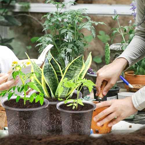 JOPY Plant Nursery Pots with Humidity Dome Seed Starter Pots Seedlings Planting Pots Small Planter Containers with Drainage Holes (Transparent, 5/6/7 inch-30Pcs) - size: 5/6/7 inch-30Pcs
