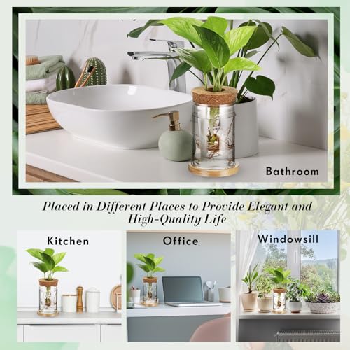 Baderke 12 Pack Propagation Vases for Plants, Classic Style - color: Classic Style