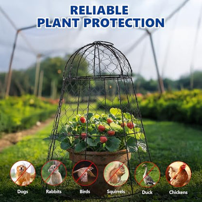 Garden Cloches for Plants - Set of 12 Chicken Wire Plant Cages and Plant Protectors from Animals, 17.7" H x 12.8" D, Outdoor Vegetable and Flower Cages, Sapbontchi Chicken Wire Cloche (12) - size: Set of 12