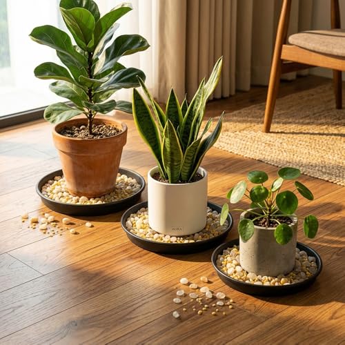 2 Pack Plant Saucer Tray, Water Catcher for Pots, Black, 12 Inch - size: 12Inch