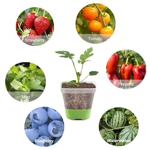 3Pcs Square Plastic Nursery Pots, Clear Plant Pot with Soft Silicone Base for Easy Transplant, Flower Pots with Drainage Holes, Reusable Seedling Pot (7.8x7.8x7.8cm) (7.8x7.8x7.8cm) - color: 3pcs