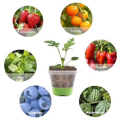 1Pcs Square Plastic Nursery Pots, Clear Plant Pot with Soft Silicone Base for Easy Transplant, Flower Pots with Drainage Holes, Reusable Seedling Pot (7.8x7.8x7.8cm) (7.8x7.8x7.8cm) - color: 1pcs