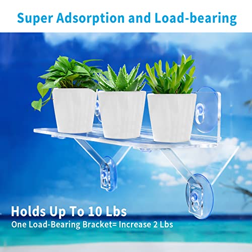 12 Inch 2 Pack Plant Window Boxes Shelf Sill Suction Cup Planter, 5-Inch Extra Wide Window Sill Extender with Load Bearing Bracket for Herbs, Succulents, Clear Acrylic Indoor Plant Stand, Planter Holder1