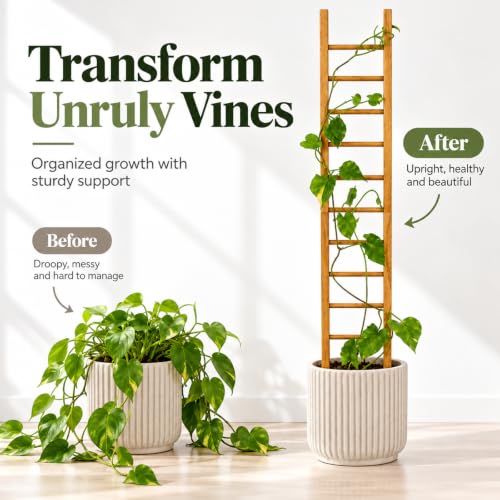 Plant Trellis Indoor 31" Wood Climbing Support for Hoya Pothos, Ivy & Vines - size: 31" H