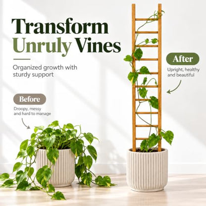 Plant Trellis Indoor 31" Wood Climbing Support for Hoya Pothos, Ivy & Vines - size: 31" H