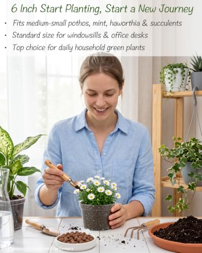 16 Pack 4/6/7.9/9.8 inch Clear Nursery Pots with Drainage Holes