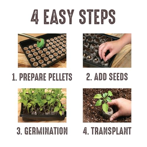 Jiffy Seed Starting Tray Kit, 36 Cell 36mm Peat Pellets - style: 1 Greenhouse Kit