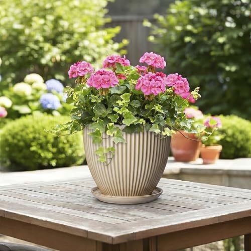 8 Inch Pots for Plants, Ceramic Planter with Saucer, Beige - color: Beige, size: 8 Inch