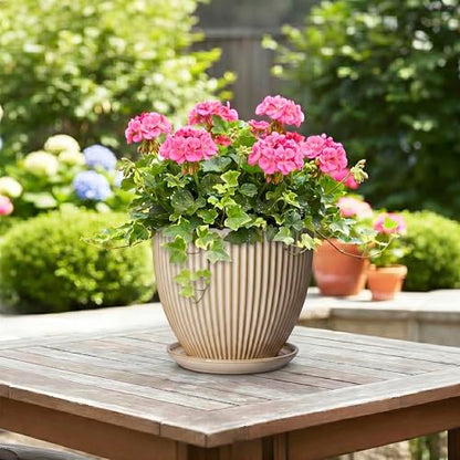 8 Inch Pots for Plants, Ceramic Planter with Saucer, Beige - color: Beige, size: 8 Inch