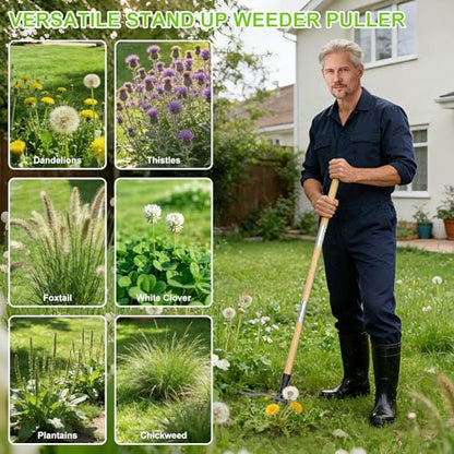 Stand Up Weed Puller Tool with Heavy Duty 4-Claw Steel Head