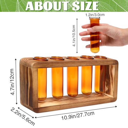 Glass Plant Propagation Station with 5 Test Tubes Colorful Planter Vase - color: Amber