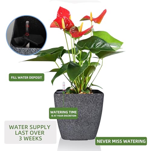 Dexceder 13x12 Self Watering Planter with Wheels (Stone Matte) - color: Stone, size: 13x12