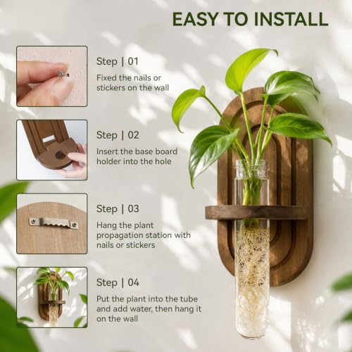 Artilady Plant Propagation Station Wall Hanging, Thick Wood Terrarium Tube - color: Oval B