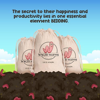 Red Wigglers Composting Worms, 1/8lb Red Worms for Composting for Gardens - size: 1/8lb