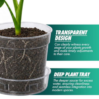3 Inch Clear Plastic Plant Pot with Drainage Holes, Interlocking & Detachable Tray - Deep Saucer - Durable BPA-Free Plastic, Transparent Design, Raised Base for Airflow, Set of 6, 92-X-A-1 - size: 3" x 2.5"