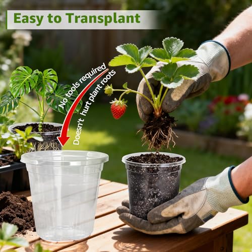 MIXC Clear Nursery Pots with Drainage Hole & Sacuer, 6/8/10/12Inch, 20 Pack - size: 6/8/10/12 Inch-20 Pack