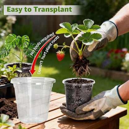 MIXC Clear Nursery Pots with Drainage Hole & Sacuer, 6/8/10/12Inch, 20 Pack - size: 6/8/10/12 Inch-20 Pack