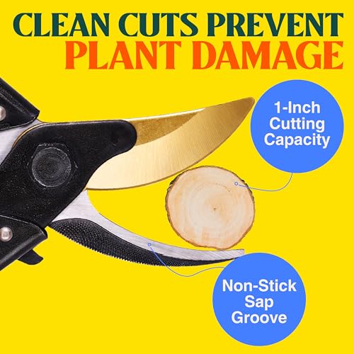 Haus & Garten ForgedPRO 8.75" Heavy Duty Professional Titanium Bypass Pruning Shears - Use As Pruners, Garden Shears, Handheld Pruning Shears For Gardening, Clippers, Garden Scissors, Pruner Tool - style: ForgedPRO