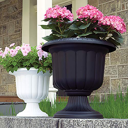 Root & Vessel, Classic Urn Planter, Black, 14-Inch - color: Black, size: 14 Inch