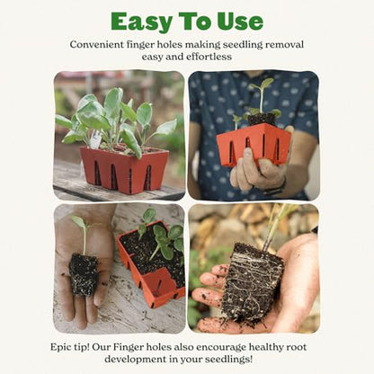 Epic Gardening 6-Cell Seed Starter Tray - 6 Trays - Terracotta - color: Terracotta