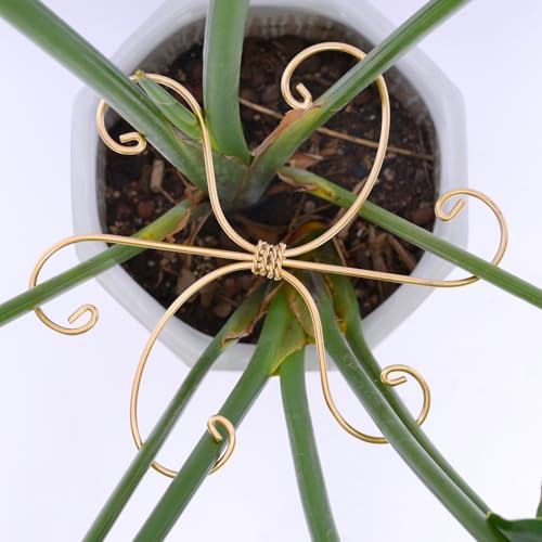 7.5In Monstera Plant Stem Support Hook Set-5PCS Metal stem Holder - size: 7.5 x 7.5 inches
