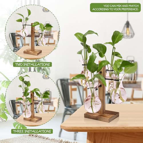 Plants Propagation Stations Bulb Glass Propagation Birthday Gift for Women - color: Pink