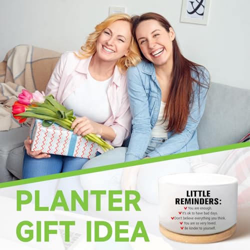 Office Desk Shelf Decor, Funny Succulent Plant Pot (Plants Not Included) - style: Office-Little reminder