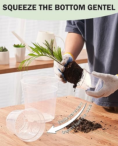 homenote 3/4/5 Inch Clear Nursery Pots with Drainage and 20 Labels (30 Pcs) - color: Transparency-no Lid, size: 3/4/5 Inch-30 Pack