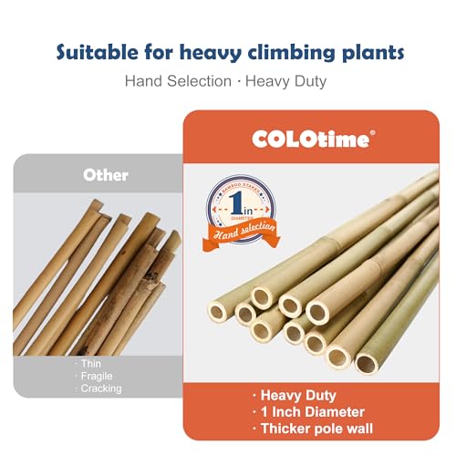 COLOtime 8FT Bamboo Stakes Plant Stakes 1in Thick Dia. Garden Poles 10 Pack - size: 8ft, 10 Pack