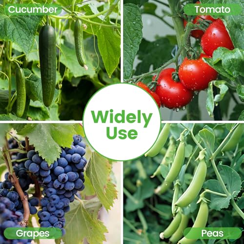 Foldable Cucumber Trellis 48" L x 34" W - size: 48" L x 34" W