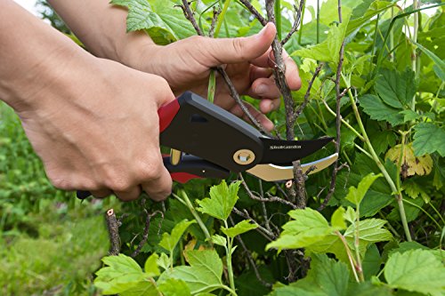Pruning Shears, Sharp Bypass EZ-Cut, Handheld Gardening Tools