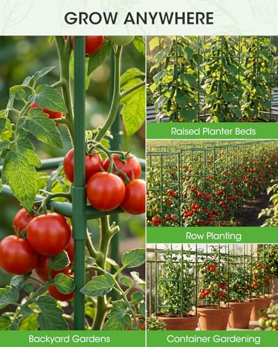 3 Pack Tomato Cages,Square Tomato Plant Stakes Support Cages Trellis for Garden Climbing Vegetables Flowers Fruits,Extra Bold - color: green