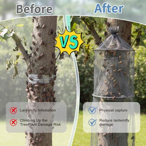 4 Pcs 2 in 1 Spotted Lanternfly Trap with Bait Tray, Fly Traps Outdoor, Enhanced Lanternfly Tree Trap, Ranch Fly Pest Catcher Cage for Backyard Garden Park Farm Tree Protection(Grey)