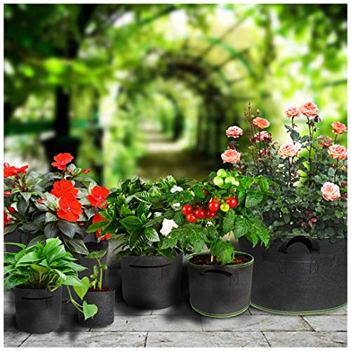 Segreto 30 Gallon Grow Bags Flower Pots Plant Container - size: 30 Gallon