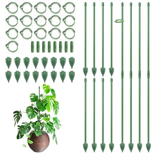 RIFNY Plant Stakes for Indoor Plants, 12 Inch Plant Support Stakes, 16 PCS - color: Green, size: 12IN 16PCS