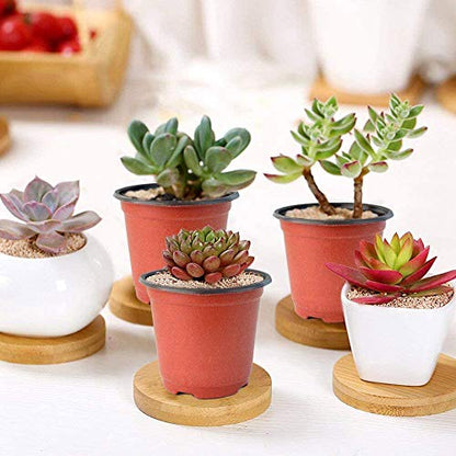 Baaxxango 100 Pcs 3.5 Inch Plastic Seedlings Plants,Nursery Pots,Seed Starting Pot for Succulents, Seedlings, Cuttings, Transplanting - size: 100 Pcs 3.5 Inch